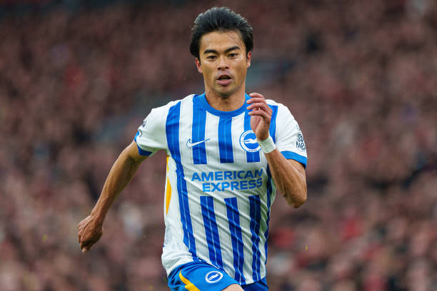 在李金羽的 在李金羽的